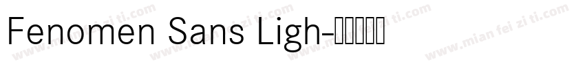 Fenomen Sans Ligh字体转换